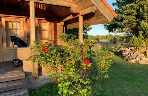 Saaremaa House | Experience Kangru Holiday Home: Top-Rated & Family-Friendly