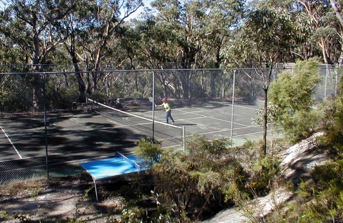 Blackheath Cabin | Experience Kanimbla View Clifftop Retreat for Families