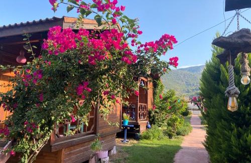 Karaoz Bed & Breakfast | Oceanfront Delight at Ada Pansiyon Karaöz - Rated 8.9/10