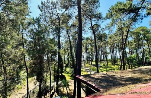 Magnetiti Hotel | Pet-Friendly Karakum Villa with Family Dining Options