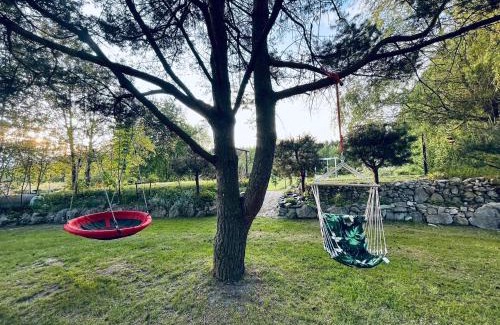 gmina Pawonkow Bed & Breakfast | Discover KARCZMA-KOSZWICE: Pet-Friendly & Family Fun