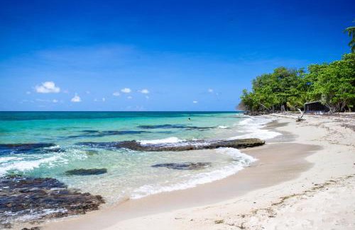 Sainte-Luce Hotel | Oceanfront Karibea Sainte Luce Hotel with Spa & Pet-Friendly