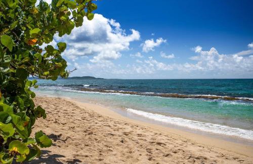 Sainte-Luce Hotel | Oceanfront Karibea Sainte Luce Hotel with Spa & Pet-Friendly