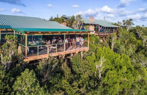 Kenton on Sea Cabin | Explore Kariega Game Reserve Main Lodge: Pool & Breakfast Included