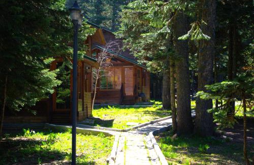 Osmangazi Hotel | Karinna Orman Koskleri: Rated 8.5/10 with Pet-Friendly Amenities