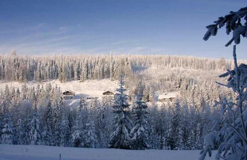 Nilsia Ski Chalet | Oceanfront Karkutahko Villas: 4-Star Family Retreat