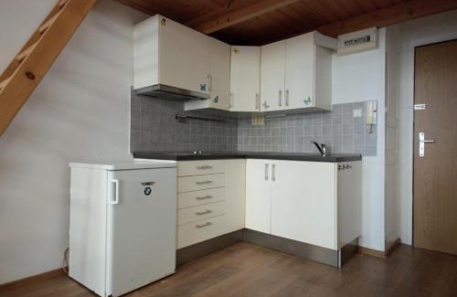 Karlin Apartment | Discover Karlín Praha - Ideal for Families and Pets