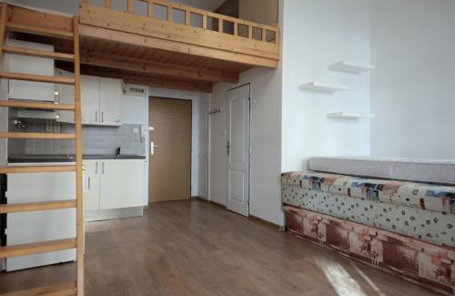 Karlin Apartment | Discover Karlín Praha - Ideal for Families and Pets
