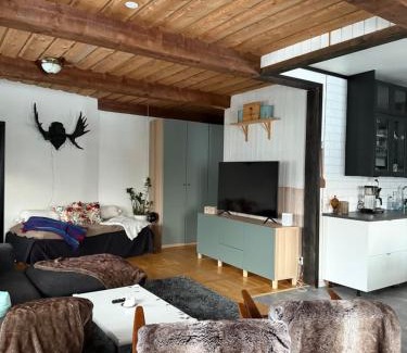 Bjornange Apartment | Karolinen Stugor & Lägenheter: Family-Friendly Oceanfront Retreat