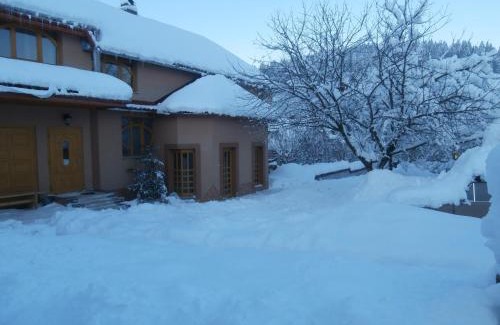Izki Apartment | Discover Karpatskiy Domyk: Family-Friendly Stays Await