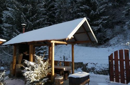 Mykulychyn House | Pet-Friendly Retreat at Karpaty Gutsulska Sadyba