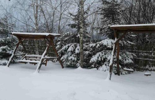 Nizhneye Sinevidnoye Hotel | Karpaty Viking: Family-Friendly Retreat with Pool & Hot Tub