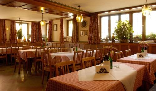 Feuchtwangen Hotel | Pet-Friendly Karpfenhotel & Herrenhaus with Family Amenities
