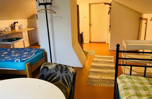 Tapa Apartment | Pet-Friendly Stuudiokorter for Families and Travelers