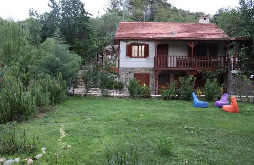 Olympos Villa | KARTAPİS KONAK Huzurlu ve Özel Havuzlu