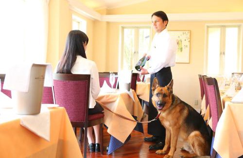 Kitasaku-gun Hotel | Relax at Karuizawa Hotel Soyokaze with Hot Tub & Breakfast