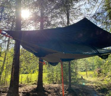 Antsla Parish Other | Discover Karula Stay Tree Tent: Ocean View & Private Beach