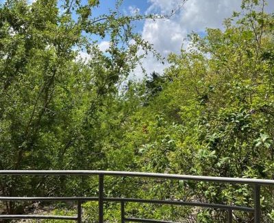 Pwani Hotel | Discover Karusiro Farm and Country Park: Family-Friendly Escape