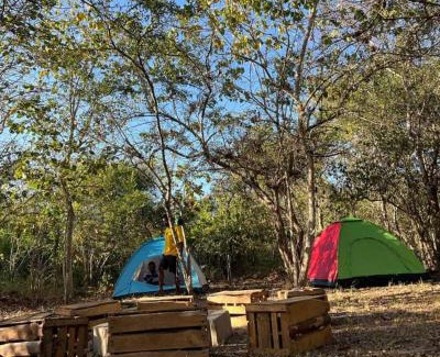 Pwani Hotel | Discover Karusiro Farm and Country Park: Family-Friendly Escape