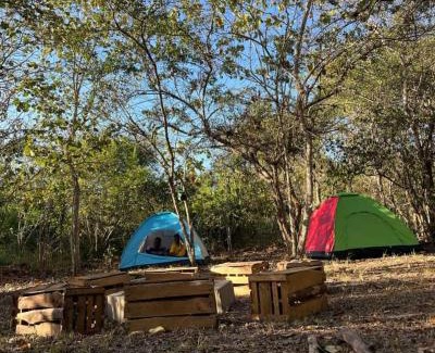 Pwani Hotel | Discover Karusiro Farm and Country Park: Family-Friendly Escape