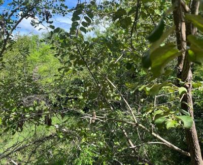 Pwani Hotel | Discover Karusiro Farm and Country Park: Family-Friendly Escape