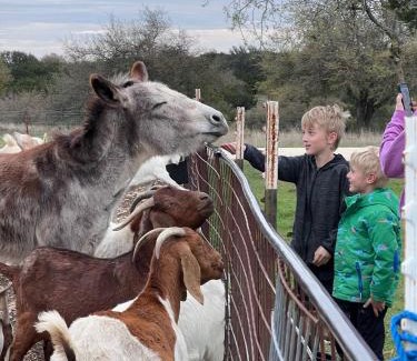 Glen Rose House | Kasa Casa at High Hope Ranch 3bed Cowboy Pool