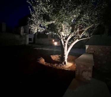 Porto Heli House | Kassandra