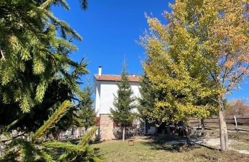 Ravnogor House | Pet-Friendly Retreat at Kassandrov Guest House Ravnogor