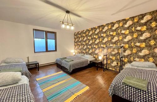 Ravnogor House | Pet-Friendly Retreat at Kassandrov Guest House Ravnogor