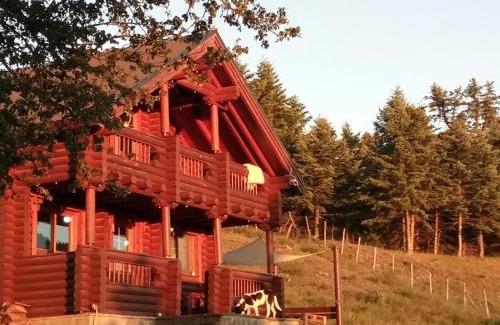 Potamia Ski Chalet | Discover Katafygio Chalet: Pet-Friendly Retreat in Krikello