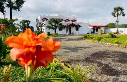 Trincomalee Bed & Breakfast | Pet-Friendly Kathircholai: Oceanfront Retreat with Pool