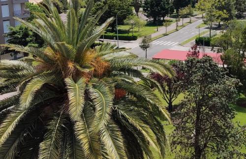 Laredo Apartment | Discover Katt y el Mar: Oceanfront Family Paradise