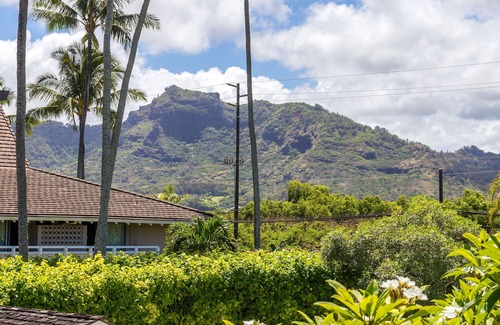 Wailua Condo | Discover Kauai Plantation Hale Suites with Oceanfront Views