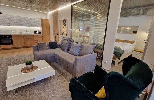 Vilnius Apartment | Discover Kauno-Algirdo Apartments: Family-Friendly Retreat