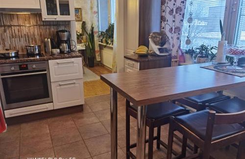 Pieksamaki Apartment | Explore Family-Friendly Stays at Kauppatori Hotel
