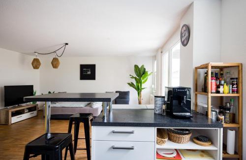 Beiertheim Apartment | Discover KAwaii: Central Location & Family-Friendly Amenities