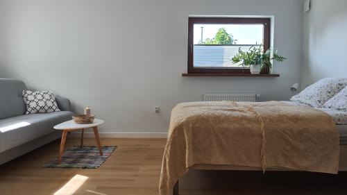 Torun Apartment | Kawalerka 40 m 2 osoby ulica Porzeczkowa Torun