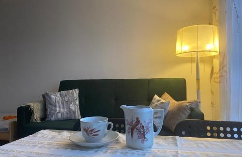 Elblag Apartment | Budget-Friendly Stay at Apartament Piechoty - Pet & Child Friendly