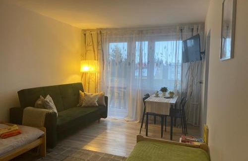 Elblag Apartment | Budget-Friendly Stay at Apartament Piechoty - Pet & Child Friendly