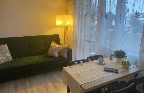 Elblag Apartment | Budget-Friendly Stay at Apartament Piechoty - Pet & Child Friendly