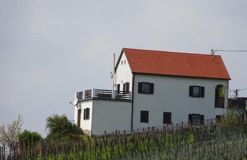 Eisenberg an der Pinka House | Discover Kellerstöckl Eisenberg: Ideal for Families & Pets
