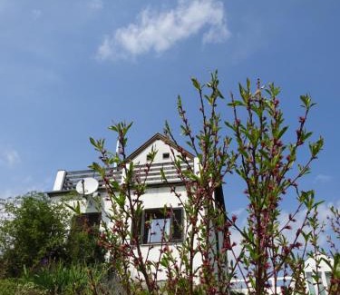 Eisenberg an der Pinka House | Discover Kellerstöckl Eisenberg: Ideal for Families & Pets