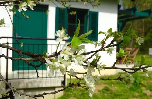 Kohfidisch House | Discover Kellerstöckl am Berg - Family-Friendly Retreat