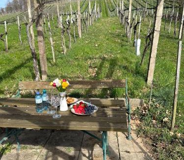 Straden Apartment | Romantic Retreat at Kellerstöckl am Rosenberg - 9/10 Rated