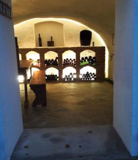 Eberau Apartment | Cozy Kellerstöckl Am Weinberg - Pet & Child Friendly Stay