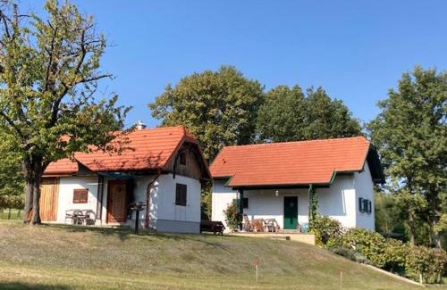 Eberau House | Inviting Kellerstöckl Postrumer: Family and Pet Friendly Stay