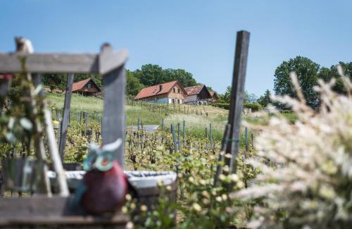 Eltendorf House | Family-Friendly Kellerstöckl Uhudlerei 39 for Your Getaway