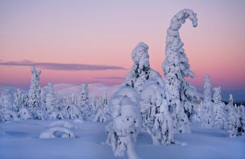 Enontekio Hotel | Kelo Resort - northern lights and adventures in the wilderness of Kittilä