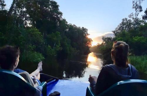 Kumai Boat Rental | Discover Kelotok Orangutan Tanjung Puting: Family-Friendly Stay