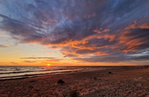 Nica Other | Discover Kempings Pabērzi: Pet-Friendly Oceanfront Retreat